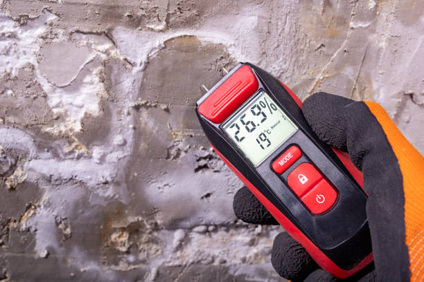 Best Water Damage Restoration  in Dahlone, GA