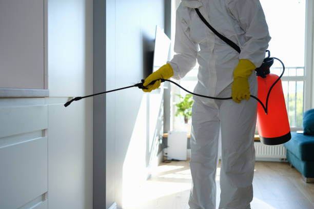 Best Mold Removal Company Near Me  in Dahlone, GA