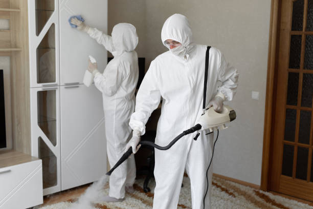 Best Mold Testing  in Dahlone, GA