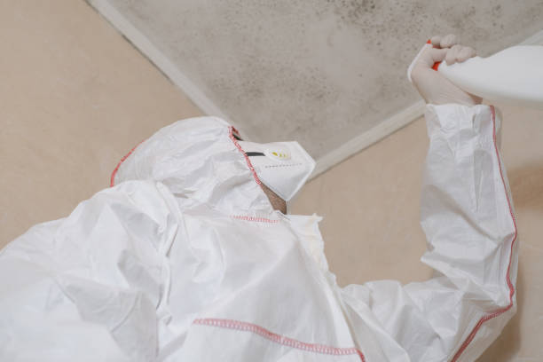 Best Affordable Mold Removal  in Dahlone, GA