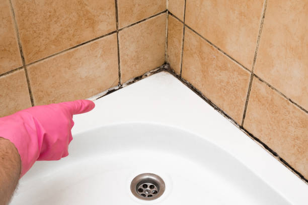 Best Professional Mold Removal  in Dahlone, GA